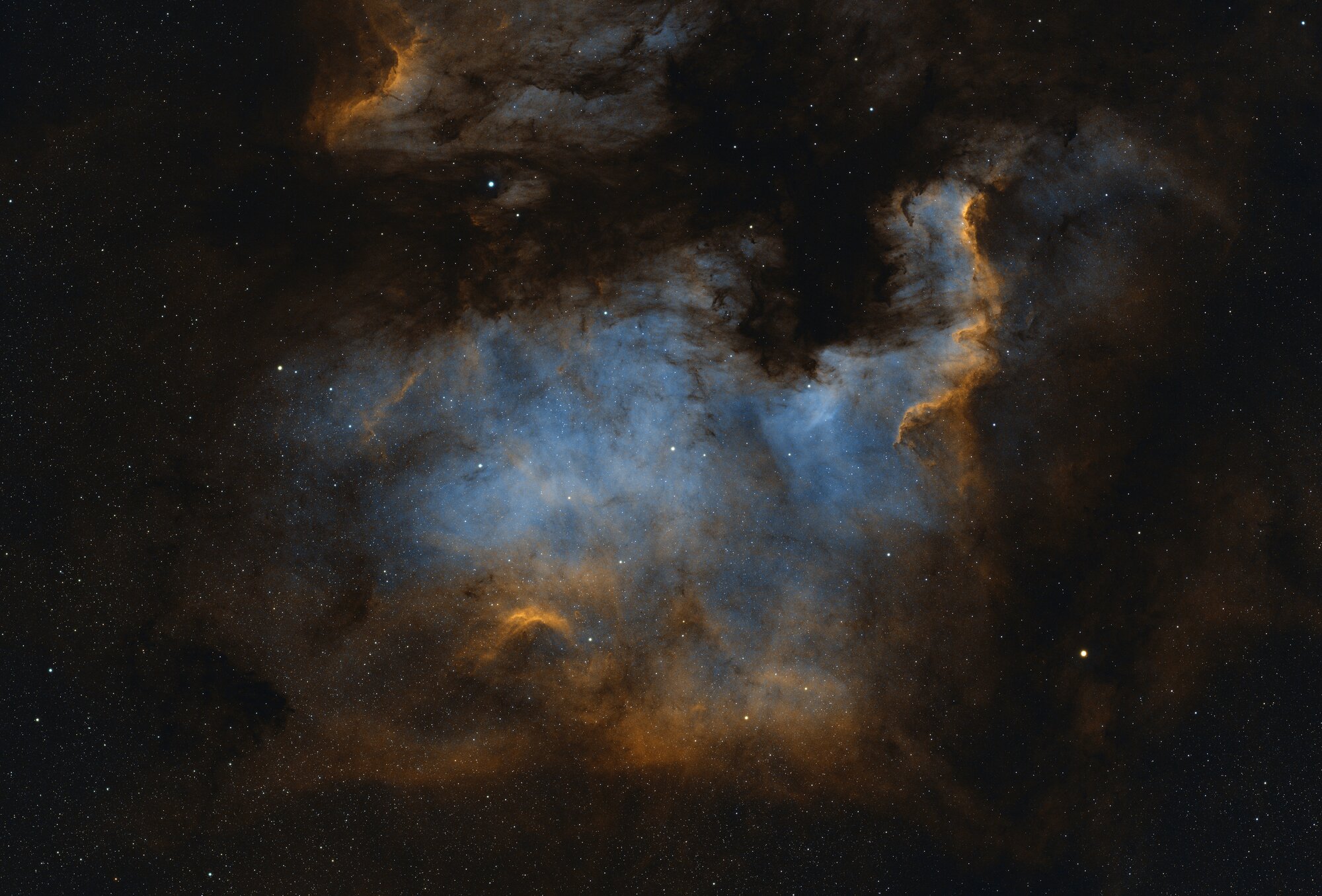 The North America Nebula (NGC 7000), captured from my Bortle 9 light polluted skies near NYC. Processed in HOO (Hydrogen-alpha, Oxygen-III, Oxygen-III mapped to RGB).